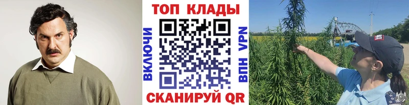 Где купить наркоту Жуковский APVP  Cocaine  Псилоцибиновые грибы  Кетамин  Бошки Шишки  Мефедрон  Амфетамин 