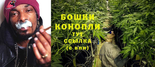 Альфа ПВП Каменка