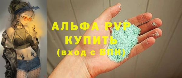 Альфа ПВП Каменка