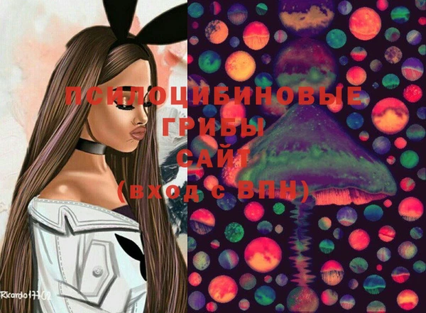 Альфа ПВП Каменка