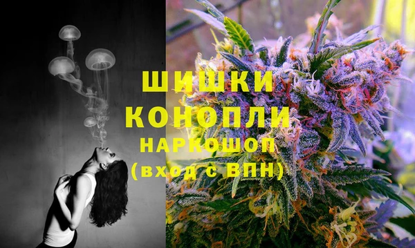 Альфа ПВП Каменка