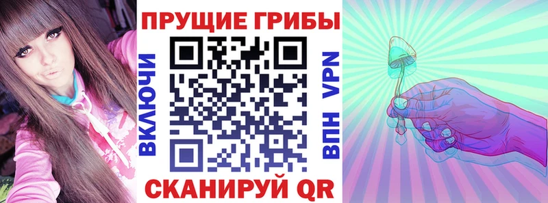Галлюциногенные грибы MAGIC MUSHROOMS  цены   Жуковский 